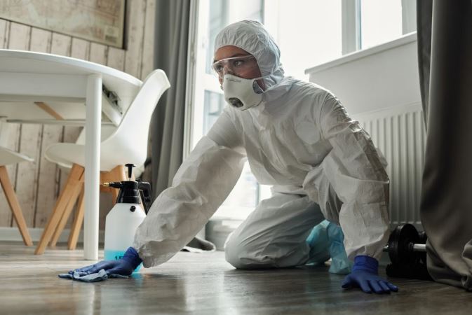 desinfección y sanitización